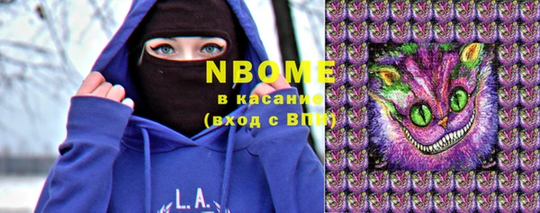 стаф Богородск