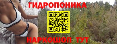скорость Моздок